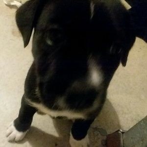 Meet your Posher, Leanne